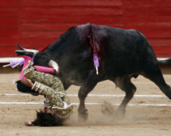 Niño torero de 12 años fue atacado por un toro de más de 386 kilos 6