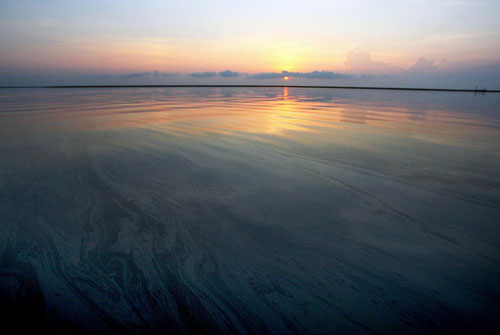 últimas fotos-derramen-petróleo-BP-Jimmy-Sulpher-Louisiana 9