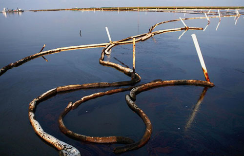 últimas fotos-derramen-petróleo-BP-Jimmy-Sulpher-Louisiana 10
