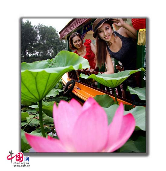 Inaugurado el XV Festival Flores de Loto Yuanmingyuan Beijing 9