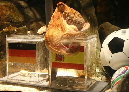 Mundial-Final-España-Holanda-Pulpo 4