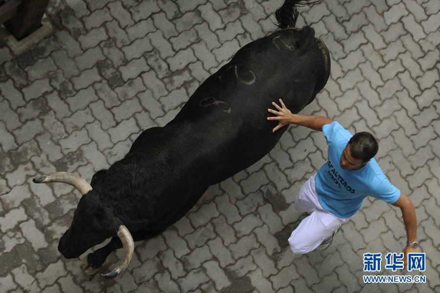 San Fermines 6