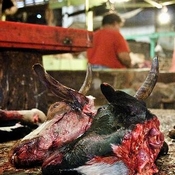 Turistas japoneses asustados por el mercado de carne en India