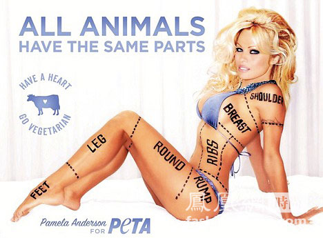 PETA,Pamela Anderson ,semidesnuda,sexy