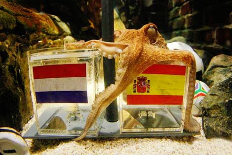 Pulpo Paul ,el Mundial de Sudáfrica,la victoria de España ,Acuario de Öberhausen