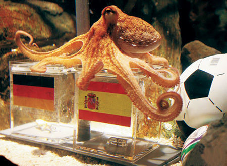 Pulpo Paul ,el Mundial de Sudáfrica,la victoria de España ,Acuario de Öberhausen