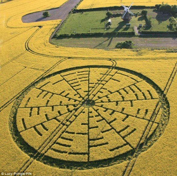 misteriosos círculos de trigo que sorprenden al mundo 3