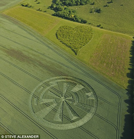 misteriosos círculos de trigo que sorprenden al mundo 2
