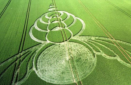 misteriosos círculos de trigo que sorprenden al mundo 10