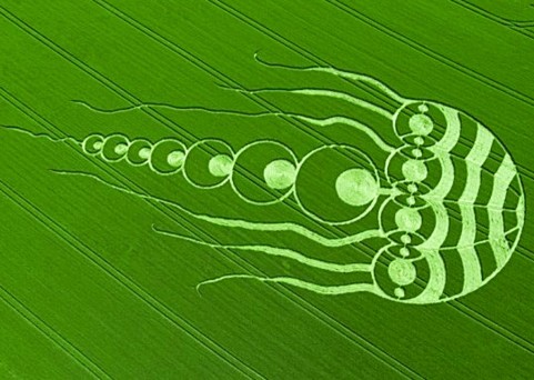 misteriosos círculos de trigo que sorprenden al mundo 16