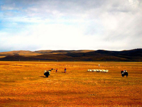 Diez ciudades tibetanas que no puedes dejar de ver 3