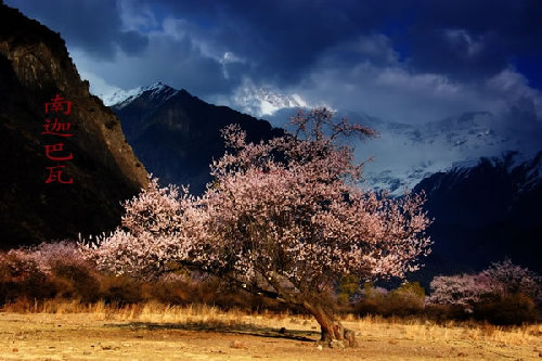 Diez ciudades tibetanas que no puedes dejar de ver 15