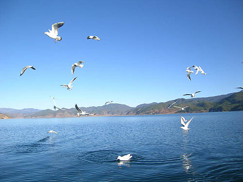 Lago Qinghai: Duradero viaje más allá de la carrera ciclística 5