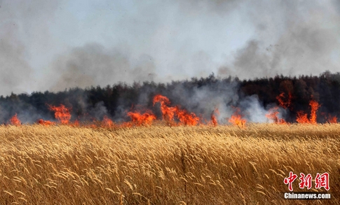 Rusia-incendio-control-forestal 1