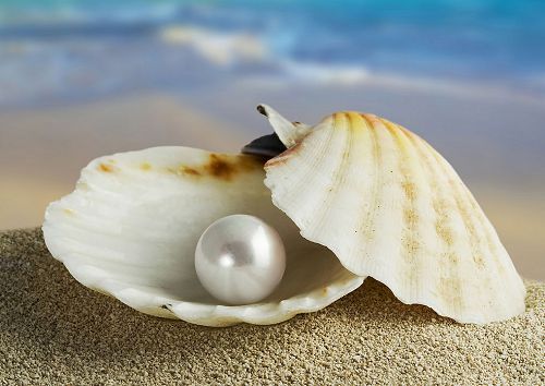 Las perlas del Mar del Sur de China