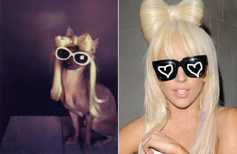 Lady Gaga-fotos-estilo