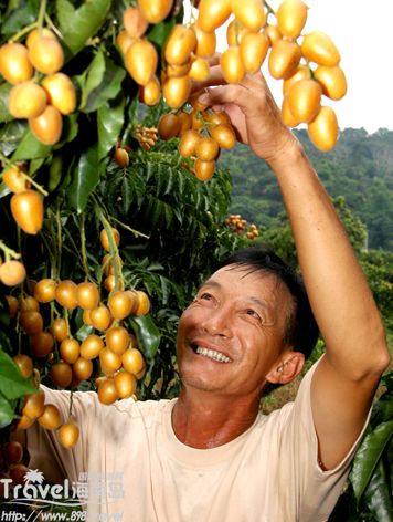 Frutas tropicales de Hainan 8