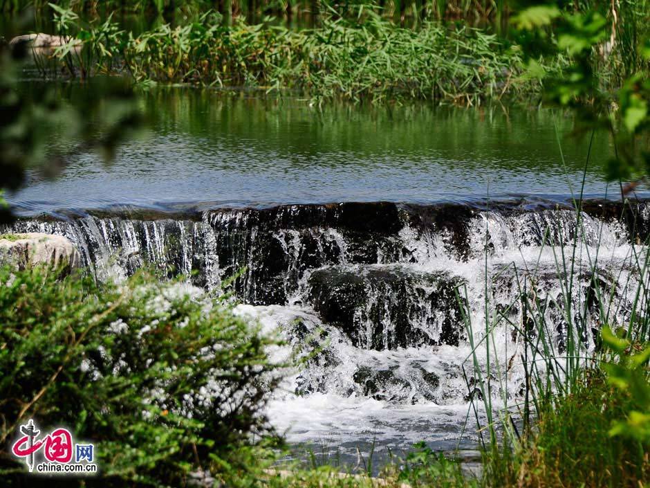 Parque Forestal Olímpico-verde-refresco-turismo-Beijing 15