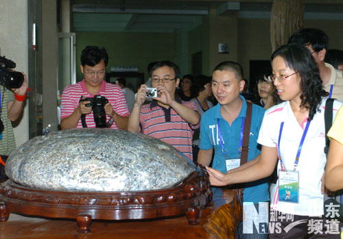 Museo Historia Natural Tianyu Linyi ShandongRécords Guiness mayor museo dinosaurios mundo 1