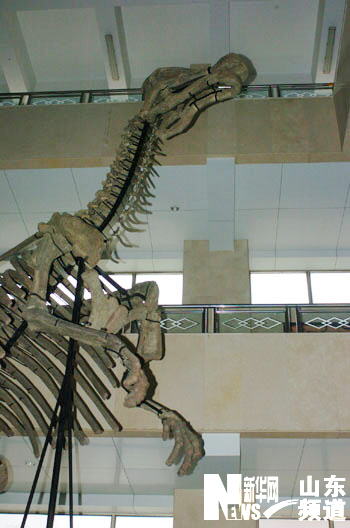 Museo Historia Natural Tianyu Linyi ShandongRécords Guiness mayor museo dinosaurios mundo 2