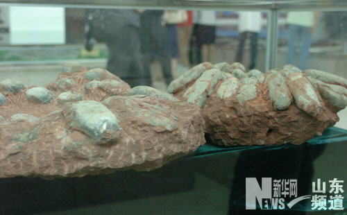 Museo Historia Natural Tianyu Linyi ShandongRécords Guiness mayor museo dinosaurios mundo 3