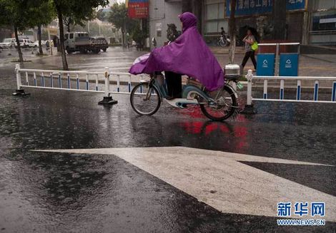 tifón, tormenta, Fujian, Guangdong, meteorología