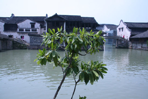 Wuzhen paraíso de agua y tiempo 5