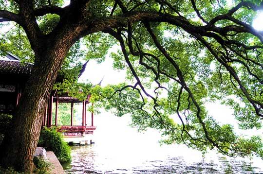 Contemplar la luna Medio Otoño lago Oeste Hangzhou 3