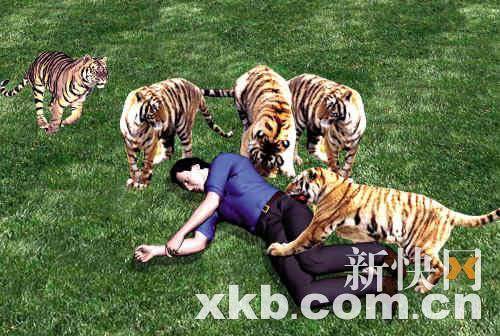 Tigre,El jardinero,China