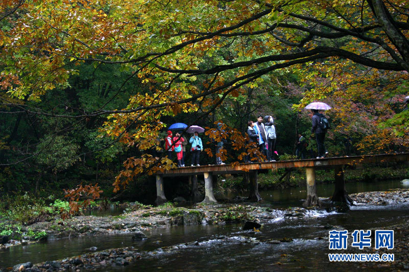 paisajes otoño China 6