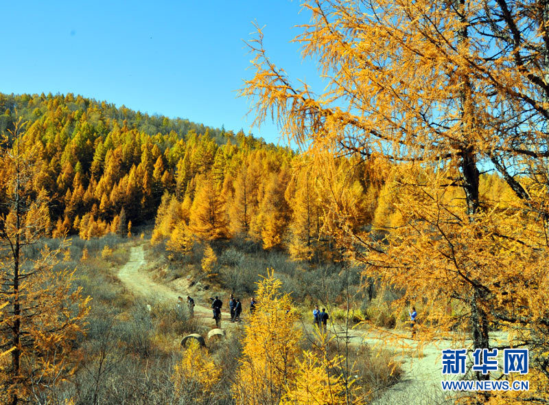 paisajes otoño China 10
