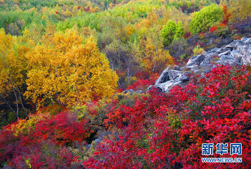 paisajes otoño China 11