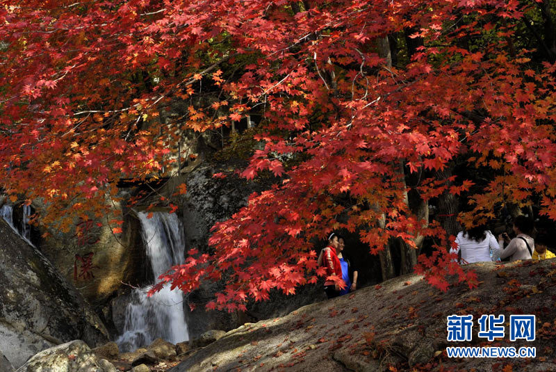 paisajes otoño China 12
