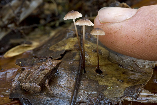 Impresionantes fotografías Veolia naturaleza vida 6