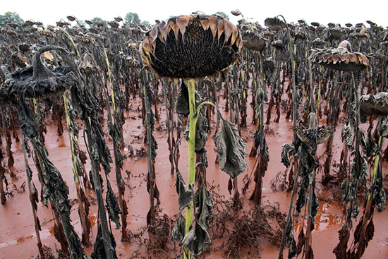 Impresionantes fotografías Veolia naturaleza vida 11