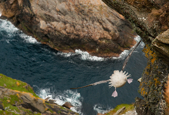 Impresionantes fotografías Veolia naturaleza vida 16