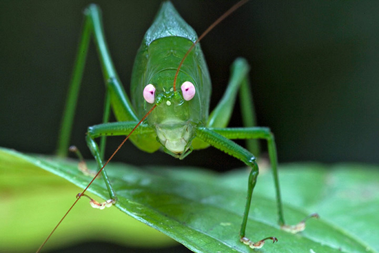 Impresionantes fotografías Veolia naturaleza vida 17