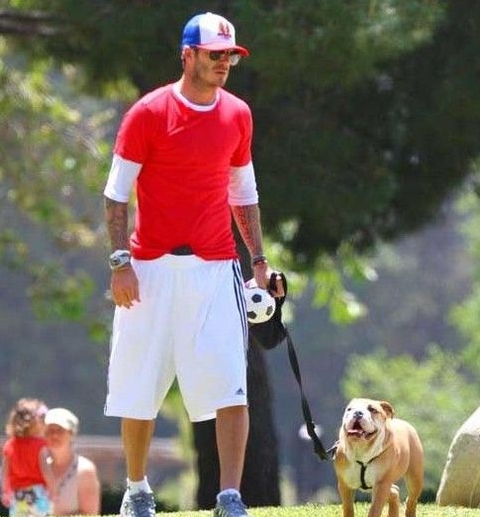 Beckham y su perro favorito