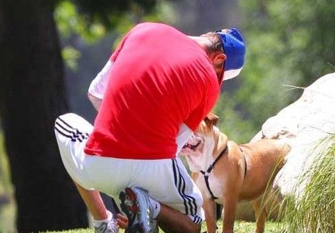 Beckham y su perro favorito