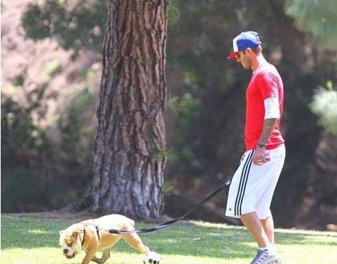 Beckham y su perro favorito