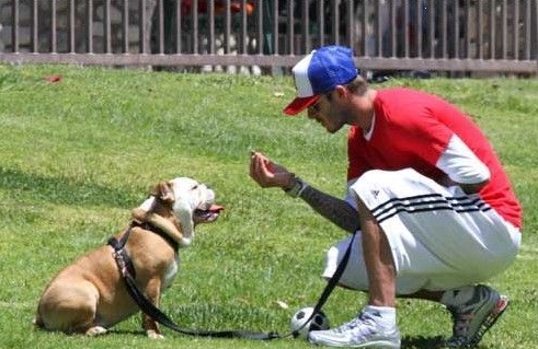 Beckham y su perro favorito