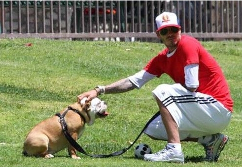 Beckham y su perro favorito