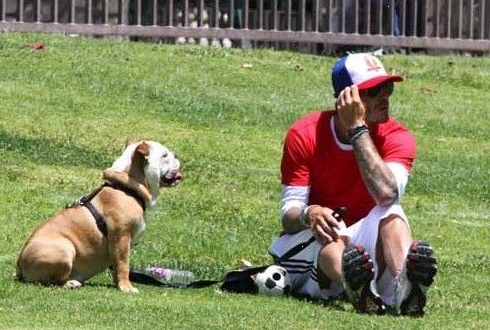 Beckham y su perro favorito