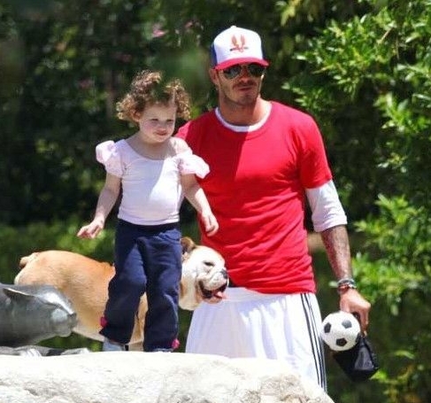 Beckham y su perro favorito