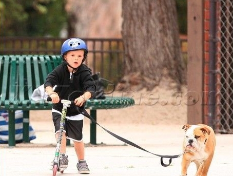 Beckham y su perro favorito