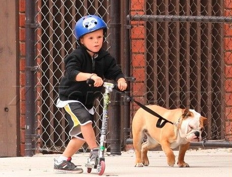 Beckham y su perro favorito