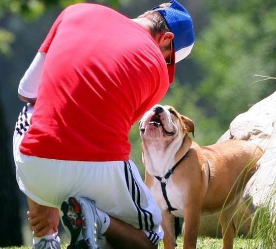 Beckham y su perro favorito