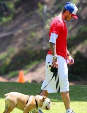 Beckham y su perro favorito