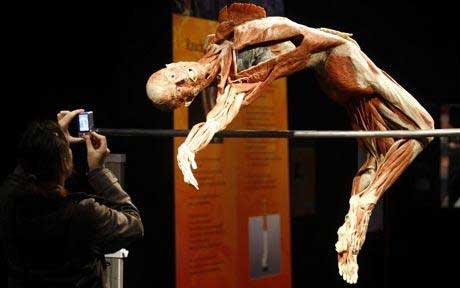 Doctor Muerte,Gunther Von Hagens, cadáveres ,cadáveres plastificados haciendo el amor