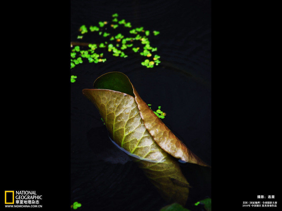  bella China ojos fotógrafos National Geographic 2